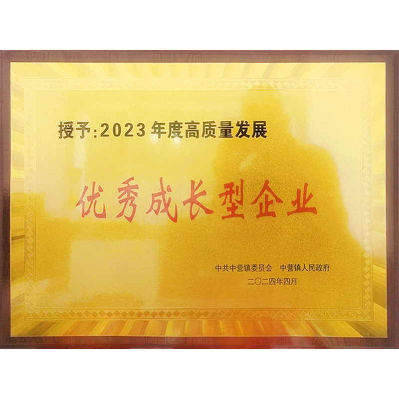 湖北圣恩荣获“优秀成长型企业”，引领行业创新发展新篇章