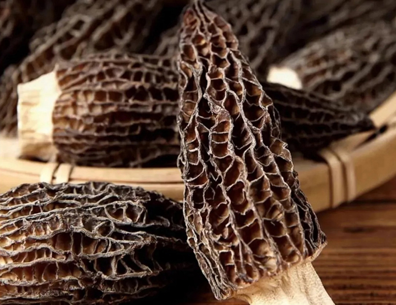 广东圣恩| 新品羊肚菌